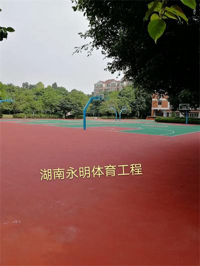 佛山六中丙烯酸篮球场