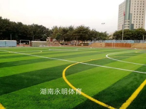 佛山南庄中心小学足球场